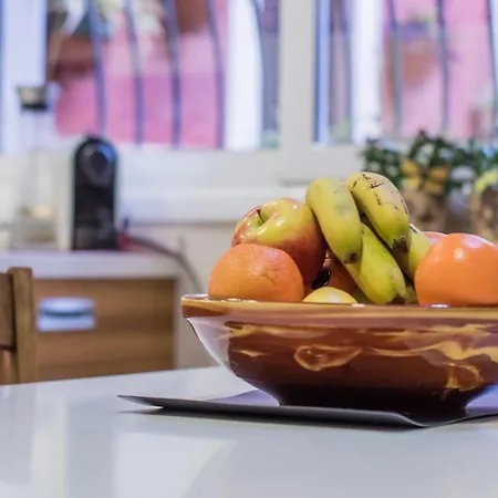 Casa de hóspedes En Coliving Masía Rural *